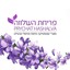 B144 Logo - Link to main page